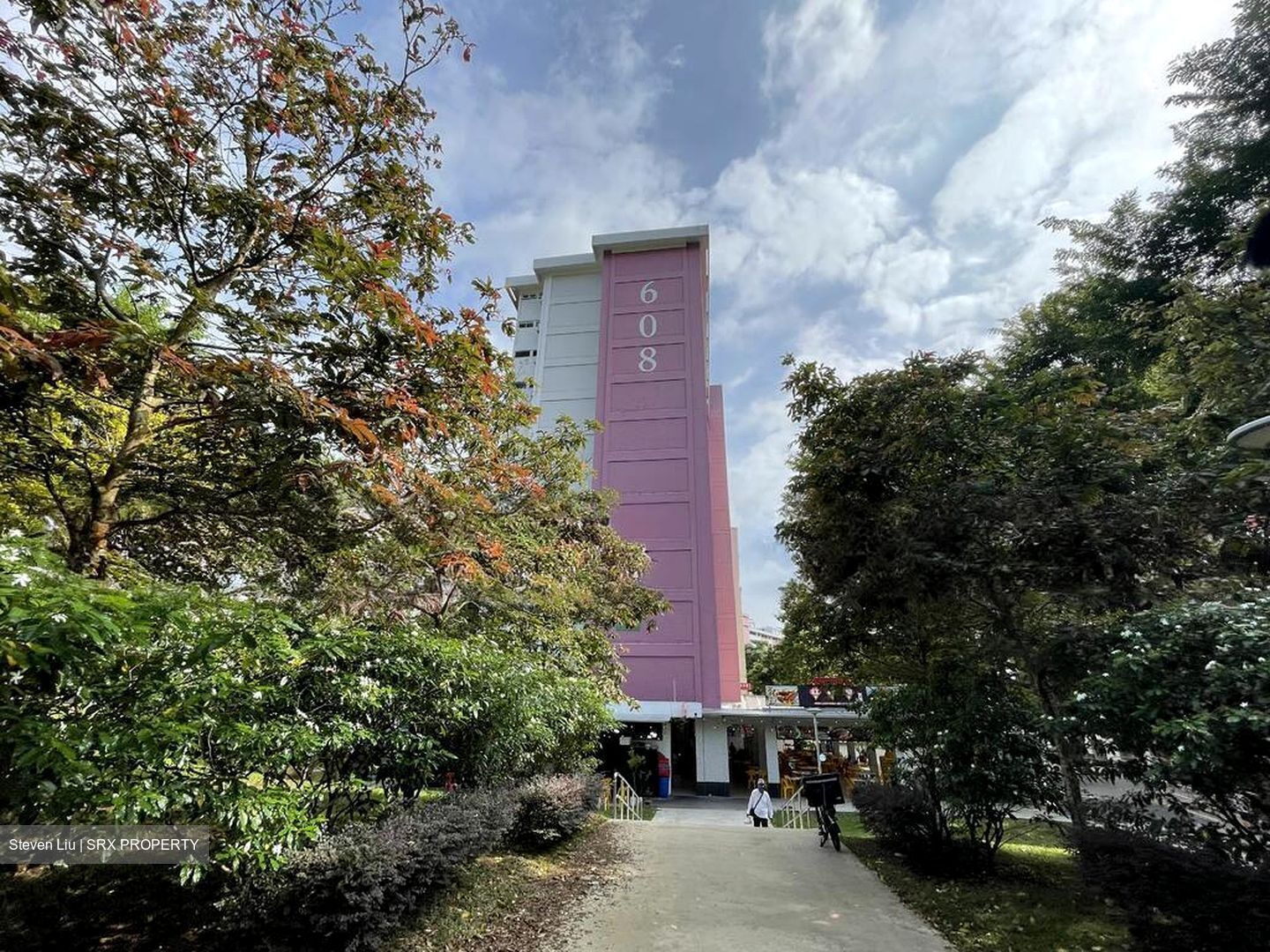 Yio Chu Kang Green (D20), Shop House #520974961